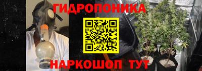 круглые Краснознаменск