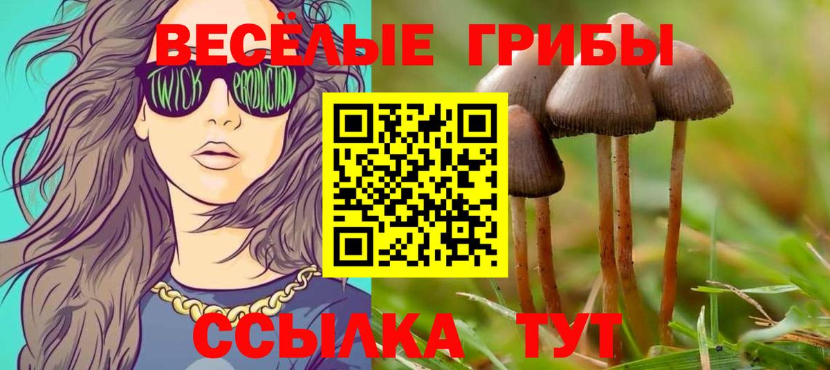 Галлюциногенные грибы GOLDEN TEACHER Кинель