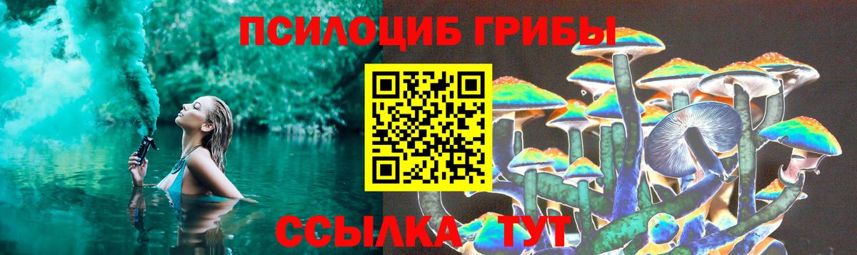 Псилоцибиновые грибы мухоморы  Псилоцибиновые грибы Cubensis  Кинель  Вход с VPN 